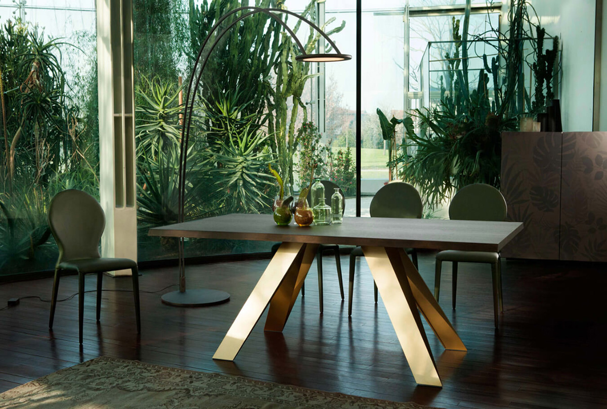 Celtis by simplysofas.in