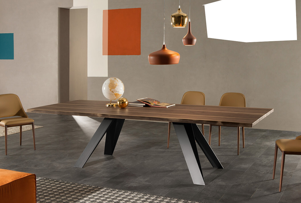 Celtis by simplysofas.in